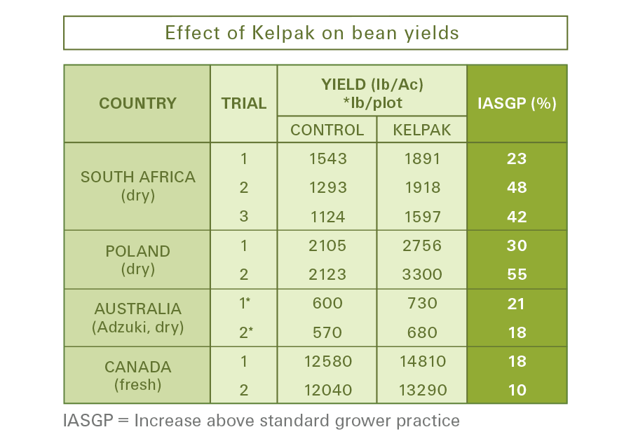 Beans, Dry/Green