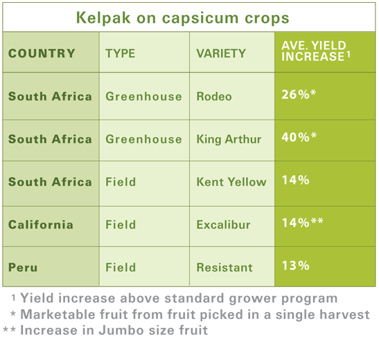 capsicum table