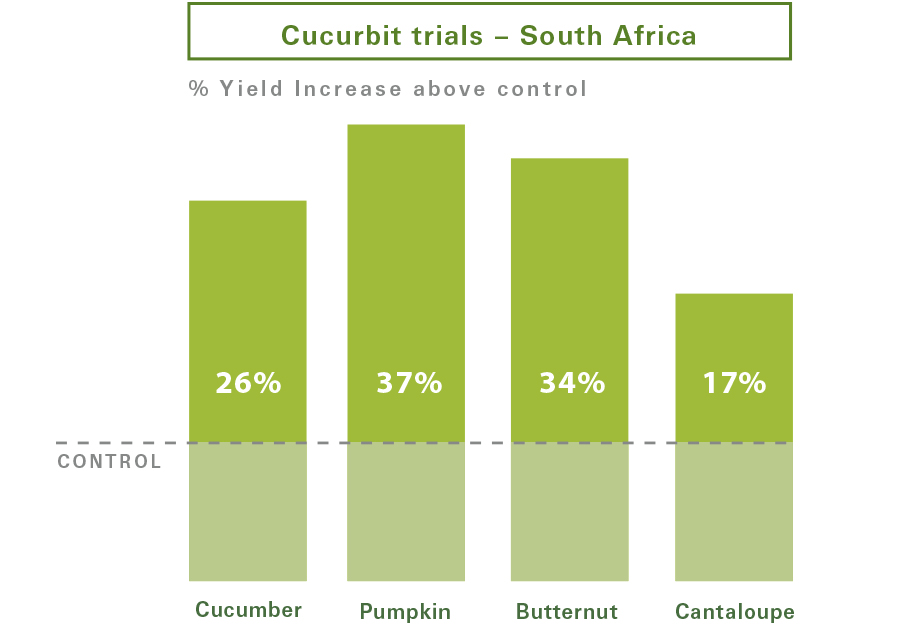 Cucurbits