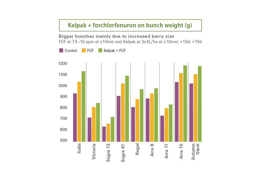 table grape data