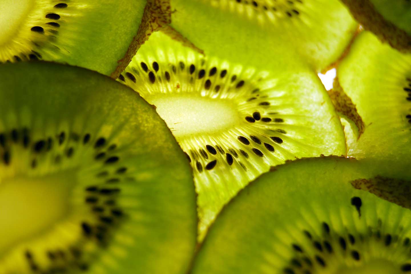 kiwi