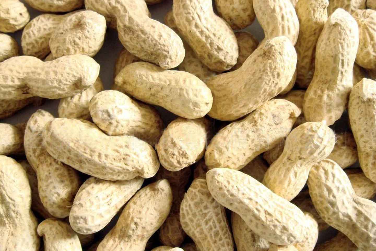 peanuts