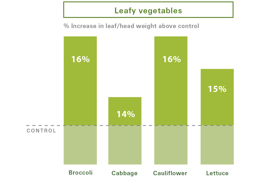 Leafy Vegetables